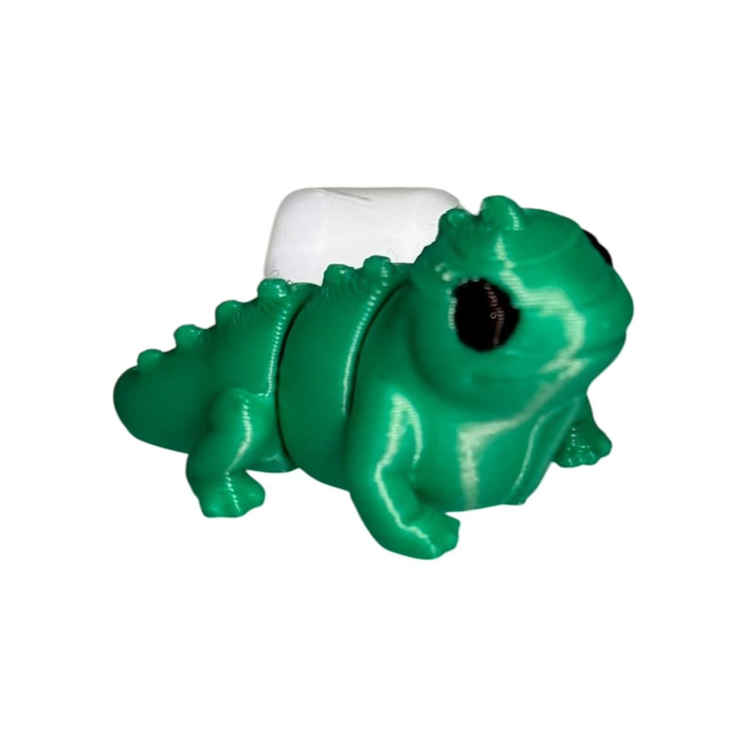 Iguana
